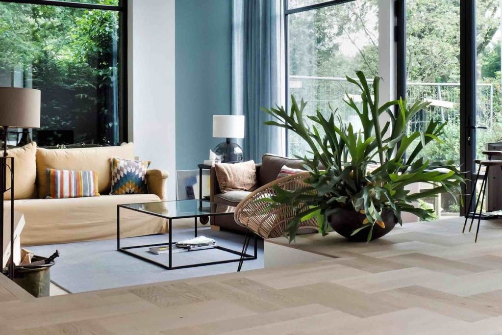 Parchetul Herringbone (living cu influente naturale, planta suculenta de dimensiuni mari, parchet Herringbone deschis)